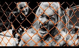 History Of The Cage Match (Pro Wrestling Documentary)